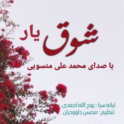 دانلود آهنگ محمد علی منسوبی به نام شوق یار